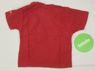 koszulki basic dla dzieci: T-shirt, Decathlon, 9-12 months, condition - Very good — 3