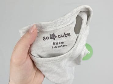 koszula desigual: Body, So cute, 3-6 miesięcy, 
stan - Idealny — 5