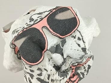 snipes koszulka: George, Bluza damska
, rozmiar 2XL — 6