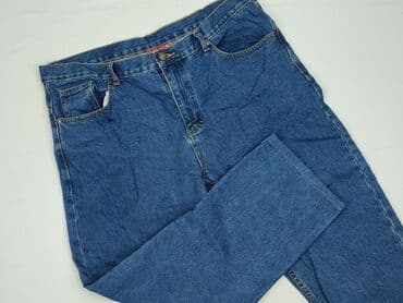 spódnice 48: Tissaia, Jeansy damskie, rozmiar 3XL — 1