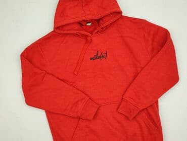 system of a down koszulka: Hoodie for men, S (EU 36), condition - Good — 1