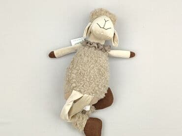 kapcie w ccc: Mascot condition - Perfect — 1