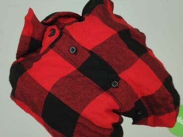 koszula flanelowa carhartt: Janina, Koszula damska, rozmiar S — 7