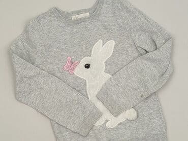 Sweatshirt, H&M, 5-6 years, 110-116 cm, condition - Very good