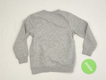 c and a bluza: Bluza, Lupilu, 3-4 lat, 98-104 cm, stan - Bardzo dobry — 3