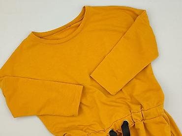 plock sukienki: Sukienka damska, rozmiar 2XL — 1