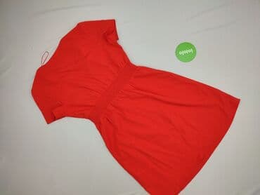 terrastyll sukienki: Terranova, Сукня жіноча, розмір L — 4