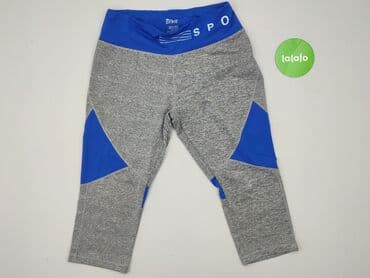legginsy paulo connerti: Crivit, Legginsy Sportowe damskie, M — 2