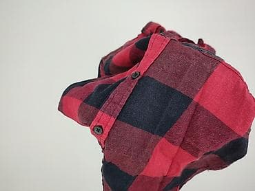 cedarwood state jacket: Cedar Wood State, Koszula damska, rozmiar M — 5