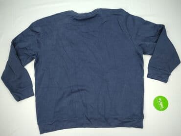 bluza just chill: GREY WOLF, Bluza dla mężczyzn, rozmiar 5XL — 4