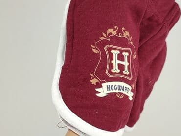 rajstopy w czerwono czarne paski: Shorts, Harry Potter, 10 years, 134/140, condition - Very good — 5