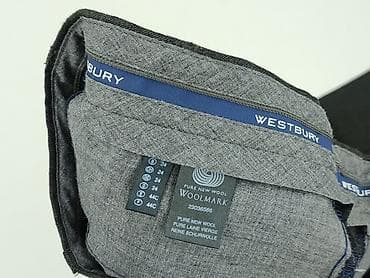 martes dresy: Woolmark, Spodnie garniturowe dla mężczyzn, rozmiar L — 4