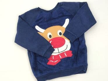 Bluzy: Bluza, Little kids, 5-6 lat, 110-116 cm, stan - Bardzo dobry