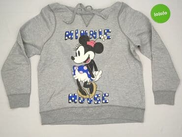 t shirty z psem: Disney, Women`s hoodie, size M (EU 38) — 2