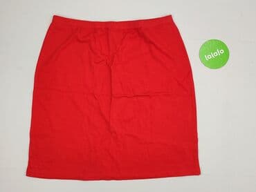 spódnice długie obcisła: Spódnica damska, L — 2