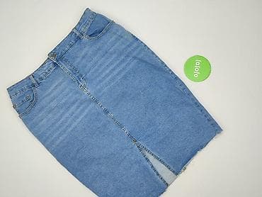 plus size spódnice: Spódnica damska, rozmiar 2XL — 2