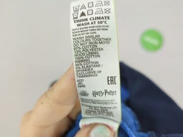 all saints koszula: Sweatshirt, Harry Potter, 7 years, 116-122 cm, condition - Very good — 6