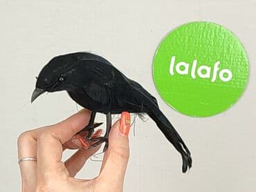 Home Decor: Figurine, condition - Perfect — 4