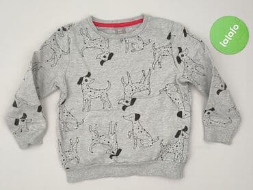 kurtka flek: Bluza, Little kids, 5-6 lat, 110-116 cm, stan - Idealny — 2