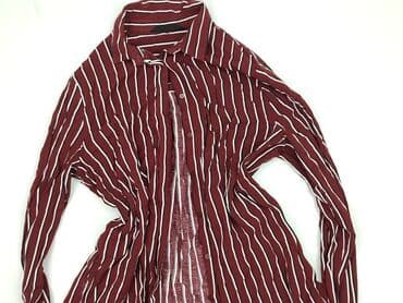 t shirty python: Terranova, Women`s shirt, size S (EU 36) — 1