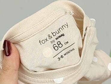 txm rajstopy: T-shirt, Fox&Bunny, 3-6 months, condition - Perfect — 4