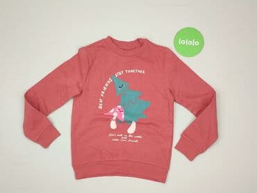sweterek sukienka allegro: Sweatshirt, Sinsay, 8 years, 122-128 cm, condition - Perfect — 2