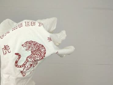 koszulki z tygrysem: Cropp, T-shirt damski, rozmiar M — 6