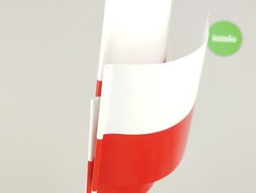 koszulka paliona allegro: Inne artykuły dla domu — 4