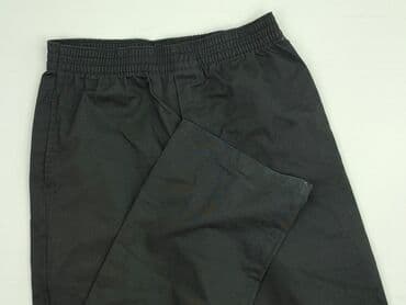 Other trousers: Women`s trousers, size M (EU 38)