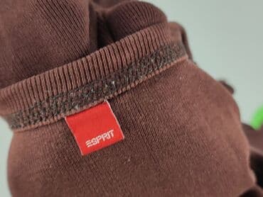 sweter z misiem tous: Esprit, T-shirt damski, S — 2