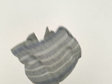 koszulka z golebiem allegro: Angelo Litrico, Sweter dla mężczyzn, L — 7