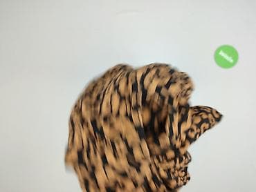 kurtka z drive: Tom Rose, Sukienka damska, rozmiar M — 4