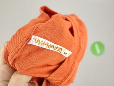 into the wild t shirty: Terranova, T-shirt damski, rozmiar S — 5