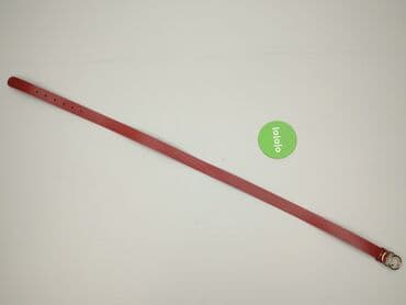 krawaty 2023: Pasek, Damskie, stan - Idealny — 2