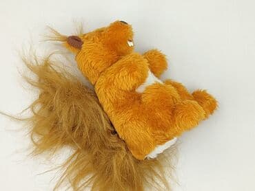 kapcie w ccc: Mascot condition - Perfect — 1