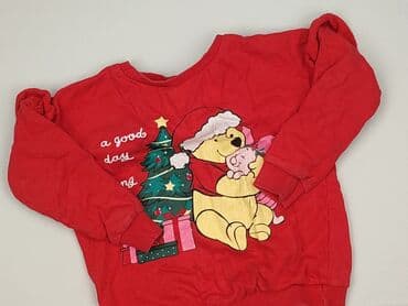 twinset kurtki: Sweatshirt, Disney, 2-3 years, 92-98 cm, condition - Perfect — 1