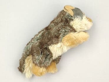 koszulka z wilkiem dla dzieci: Mascot Dog, condition - Perfect — 1