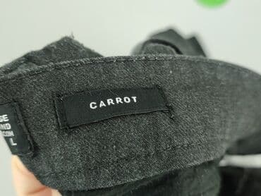 vices klapki na koturnie: House, Spodnie dla mężczyzn, rozmiar L — 5