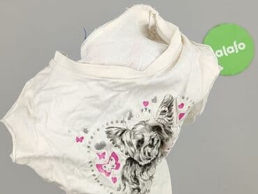 koszulka z kotem 3d: T-shirt, 6-9 months, condition - Very good — 4