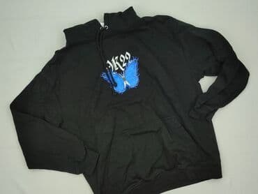 vader t shirty: Just Hoods, Women`s hoodie, size L (EU 40) — 1