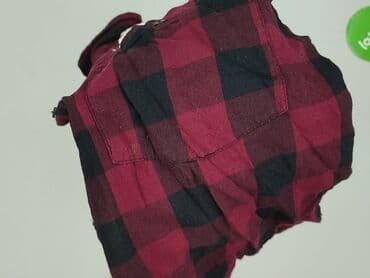 koszulka z jamnikiem reserved: Sinsay, Koszulа dla mężczyzn, rozmiar L — 6