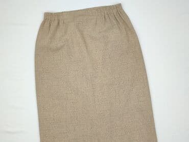spodnice lidl: Women`s skirt, size L (EU 40) — 1