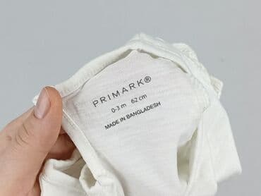 pitbull koszulka termoaktywna: Blouse, Primark, 1-3 months, condition - Perfect — 4
