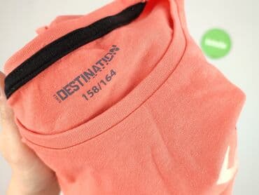 koszulki ze smiesznymi napisami: T-shirt, Destination, 14 years, 158-164 cm, condition - Very good — 5