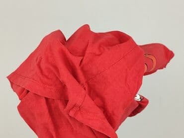 sinsay bluza z kotem: Sinsay, Koszulka dla mężczyzn, rozmiar L — 9