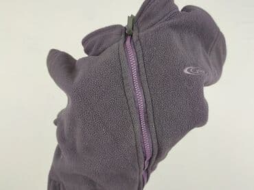 kurtka zimowa karl lagerfeld: Bluza, Champion, 5-6 lat, 110-116 cm, stan - Bardzo dobry — 6