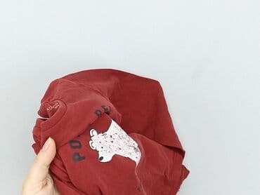 sweterki lidl: Blouse, Fox&Bunny, 2-3 years, 92-98 cm, condition - Good — 5