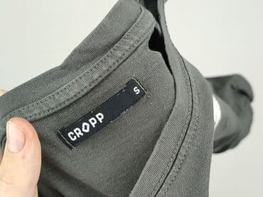 koszulka z napisem dzik: Cropp, Women`s T-shirt, size S (EU 36) — 4