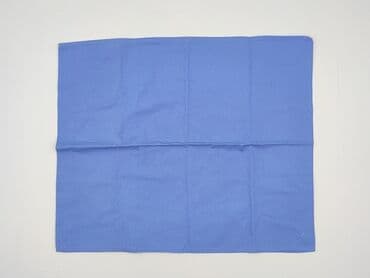 Pillowcases: PL - Pillowcase, 49 x 58, color - Blue, condition - Perfect — 1