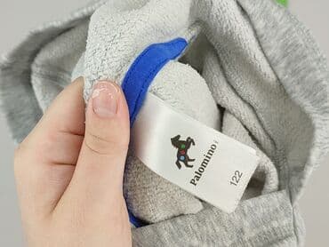 kurtka napapijri: Sweatshirt, Palomino, 7 years, 116-122 cm, condition - Very good — 4